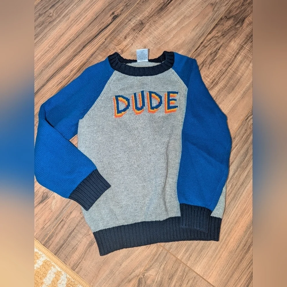 Kids Gymboree XS, size 4 Dude sweater. Boys sweater.